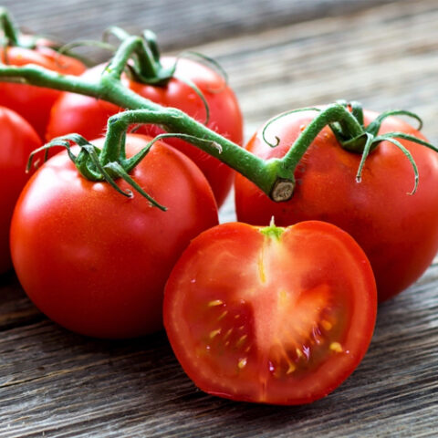 Tomate Saint-Pierre - Fleurs stempfler